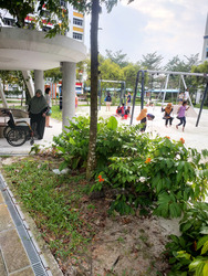 148 LORONG 1 TOA PAYOH (D12), Shop House #599679551